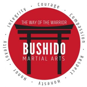 Bushido Martial Arts Summer Camps