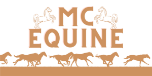 MC Equine Summer Horse Camp