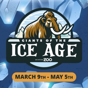 San Antonio Zoo - Giants of the Ice Age