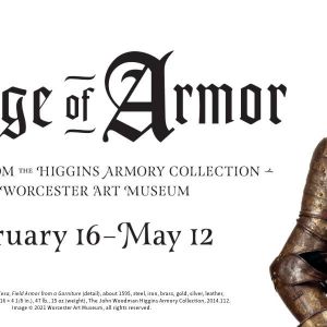 San Antonio Museum of Art - Age of Armor
