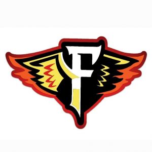 STX Firebirds Football and Cheer organization