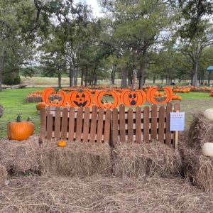 10/01-10/31 Bulverde Pumpkin Patch