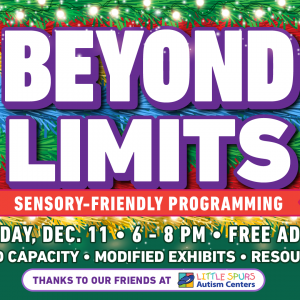 12/11 The DoSeum: Beyond Limits Resource Fair