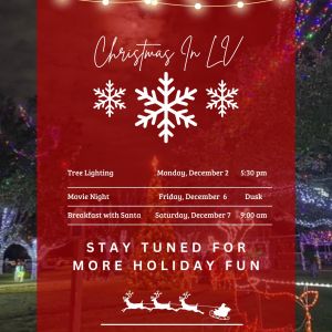 12/02 City of Leon Valley Annual Christmas Tree Lighting