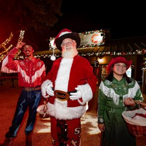 11/23 - 12/24 SeaWorld Home for the Holidays: Dinner with Santa & Mrs. Claus