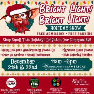 12/21 & 12/22 Bright Light Holiday Market at Wonderland of the Americas