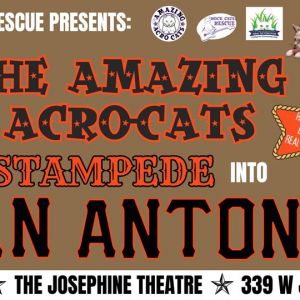 04/03 - 04/06 The Amazing Acro-Cats: Stampede into San Antonio