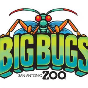 05/25 - 09/02 San Antonio Zoo - Big Bugs