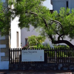 Casa Navarro  - Camp Bexar Cocina