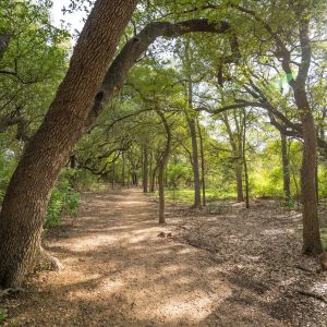 Forest Ridge Park