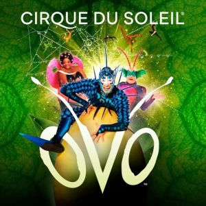 09/25 - 09/28 Cirque du Soleil: OVO at Frost Bank Center