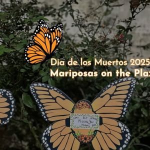 11/01 Main Plaza - Mariposas on the Plaza