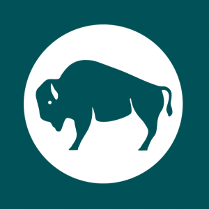 11/08 Briscoe Western Art Museum - Yanaguana Indian Arts Festival