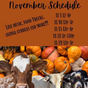 10/04 - 11/29 Calvary Farms - Fall Events & Pumpkin Patch