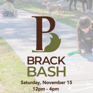 11/15 Brack Bash at the Sunken Garden Theater