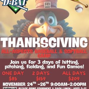 D-Bat San Antonio West Thanksgiving Camp