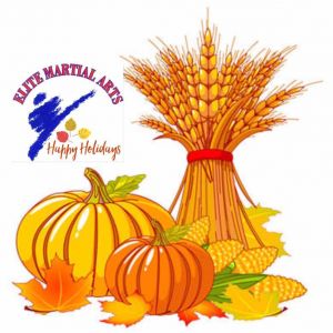 Elite Karate Thanksgiving Camp