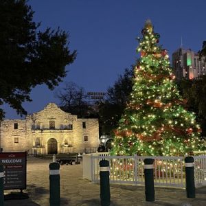 11/29 Christmas Tree Lighting at the Alamo