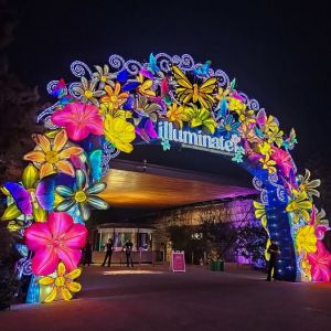 11/21 - 01/11 Illuminate at the San Antonio Botanical Garden