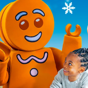 11/22 - 12/24 LEGOLAND Discovery Center Holiday Bricktacular