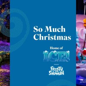 11/22 - 01/04 ICE! at JW Marriott Hill Country Resort and Spa