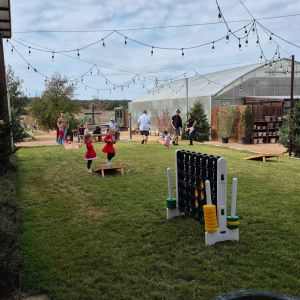 11/21 - 12/24 Spring Creek Gardens - Christmas Trees