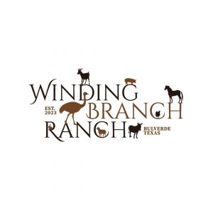 Winding Branch Ranch - Rescue Ranch School