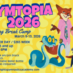 Alamo Heights Gymnastics Academy - Spring Break Camp