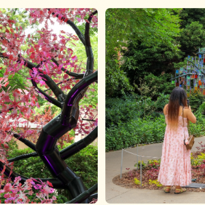 03/07 - 07/07 San Antonio Botanical Garden - Otherwild