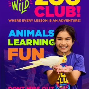 Zoo Club by Once in a Wild