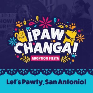 04/11 & 04/12 City of San Antonio Animal Care Services - ¡Paw-Changa!