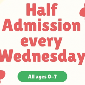 Tiny Town Playland - Half Price Wednesdays