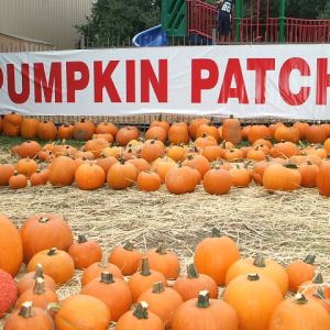 10/05 - 10/31 Northwest Hills GMC Pumpkin Patch