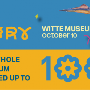 10/10 The Witte Museum - Party of the Century