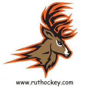 Rut Hockey Team