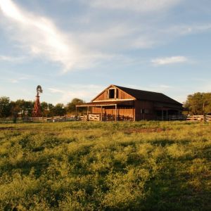 Austin - Jourdan-Bachman Pioneer Farms