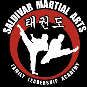 Saldivar Martial Arts - After School Program