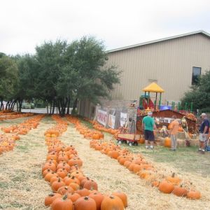 10/06-10/31 Northwest Hills UMC Pumpkin Patch